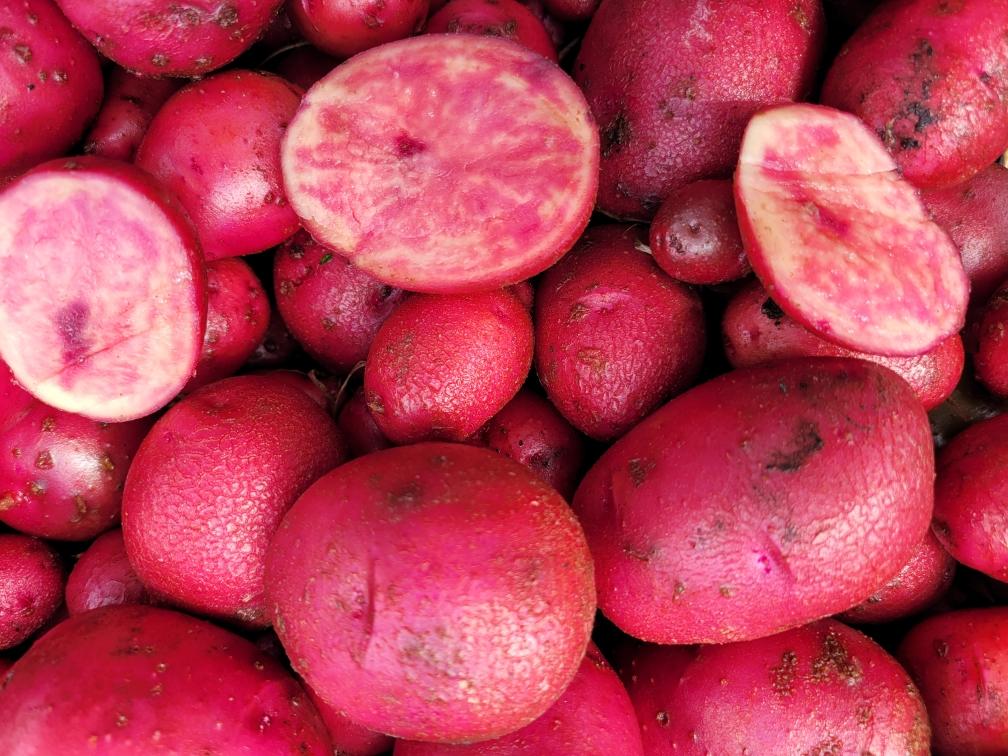 Baby Red Potatoes