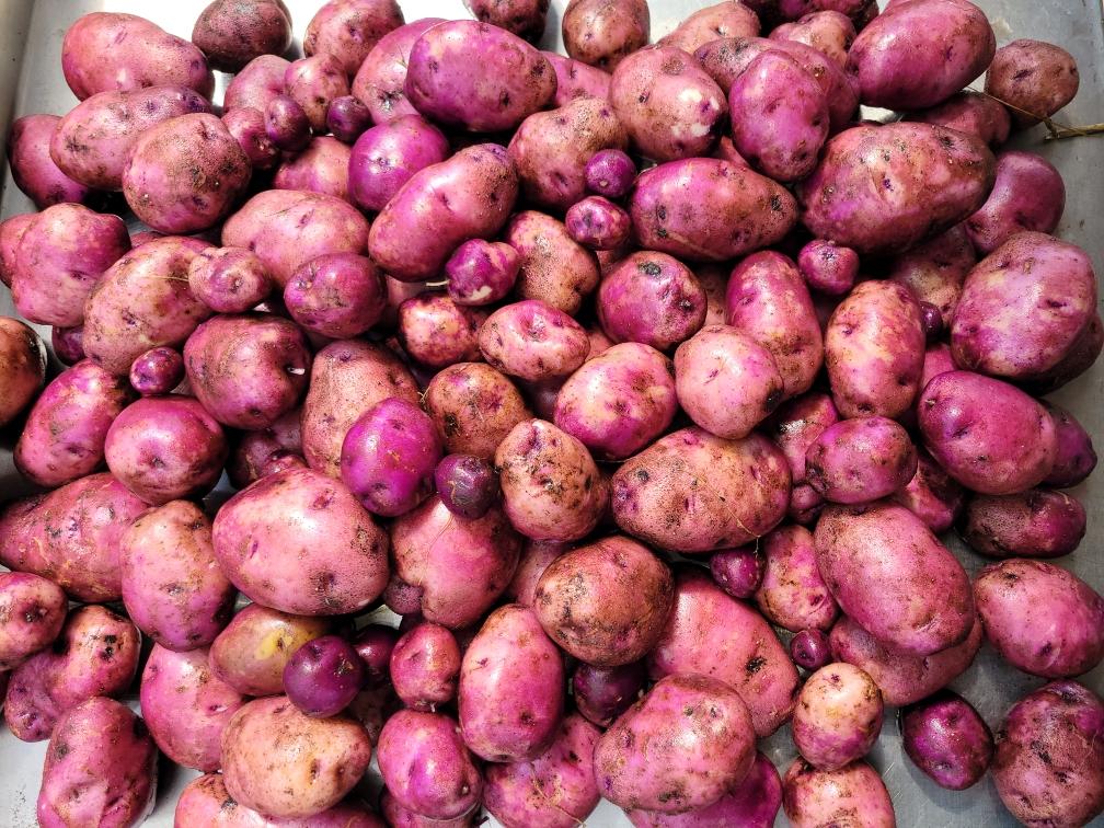 Caribe Potatoes