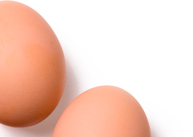 Egg
