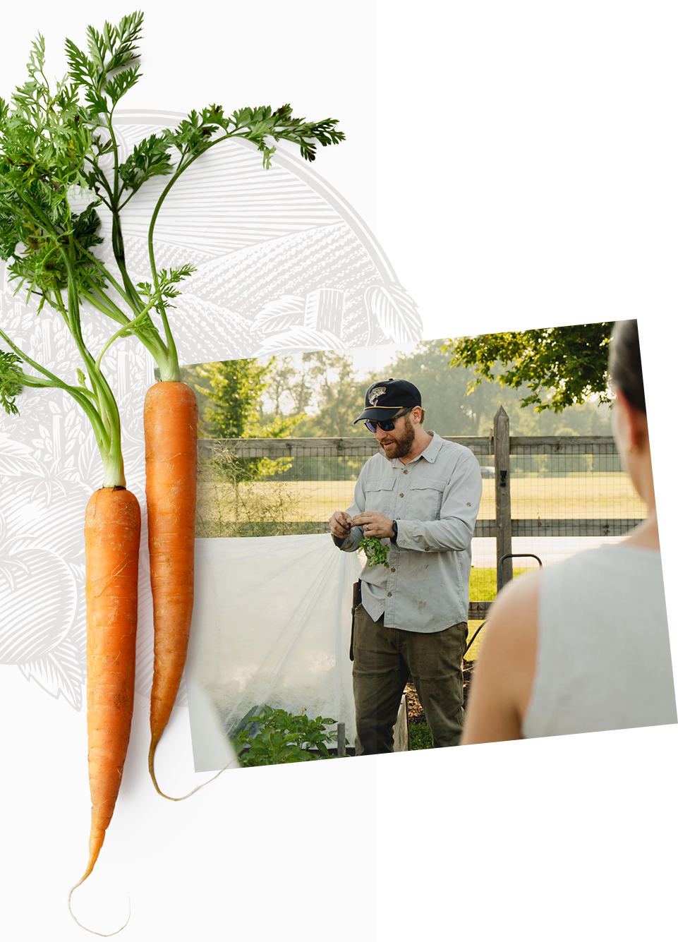 Fresh Farm Produce